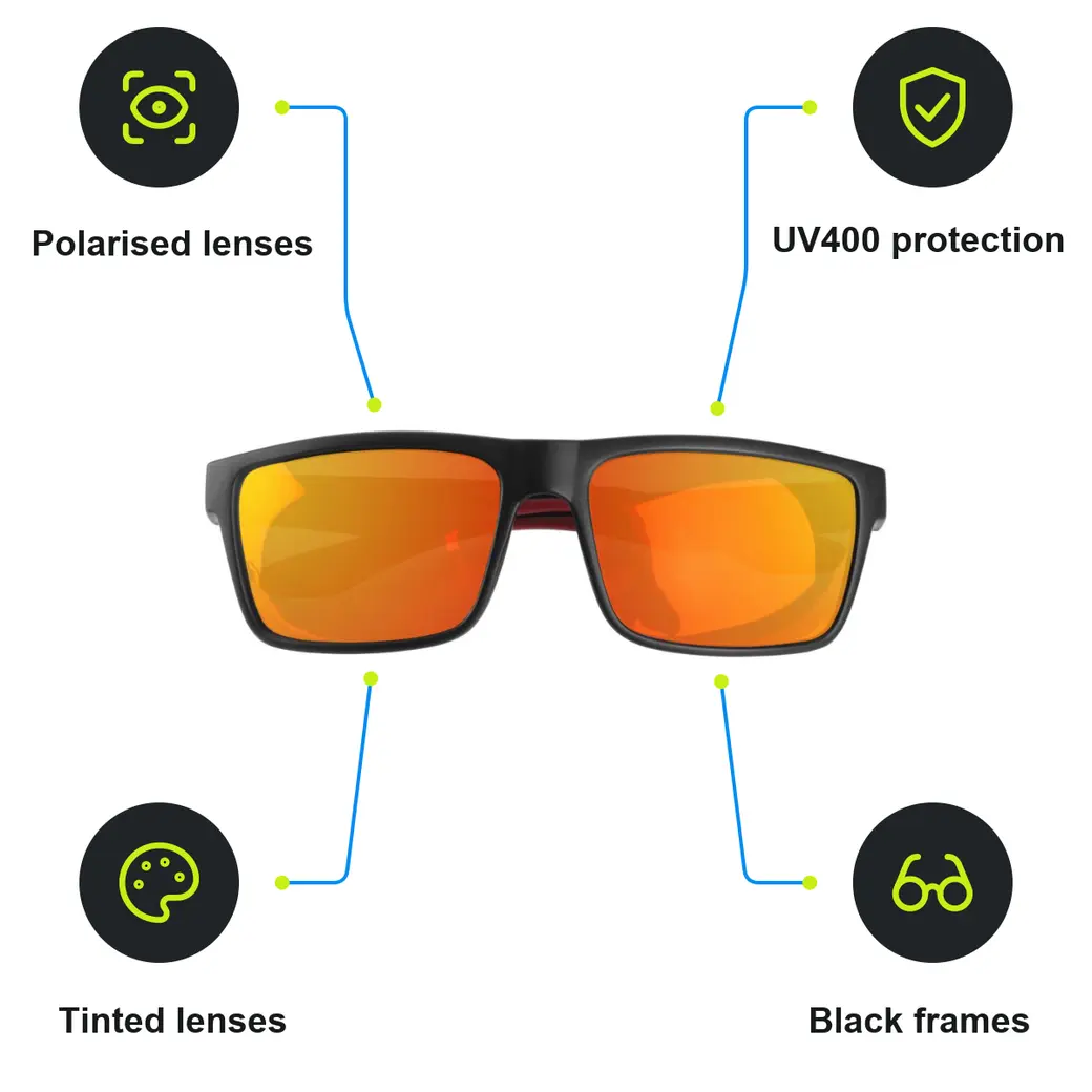 Infographic: SCHWARZWOLF IRAVADI Sports polarised glasses, black
