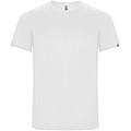 Imola short sleeve mens sports t-shirt