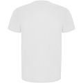 Imola short sleeve mens sports t-shirt