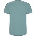 Stafford short sleeve kids t-shirt