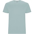 Stafford short sleeve kids t-shirt