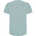 Stafford short sleeve kids t-shirt