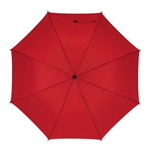 Automatic wooden stick umbrella 