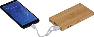 Bamboo power bank