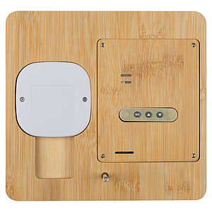 Bamboo weather station