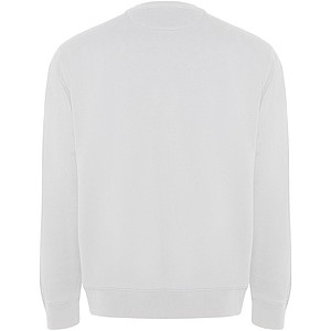 Batian unisex crewneck sweater