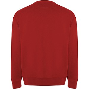 Batian unisex crewneck sweater