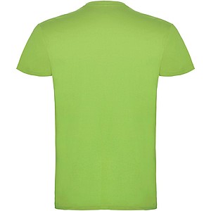 Beagle short sleeve mens t-shirt