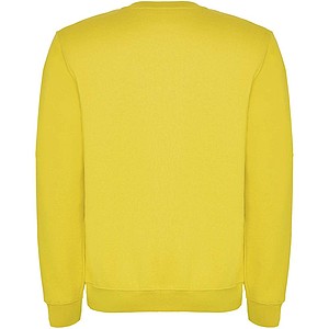 Clasica kids crewneck sweater