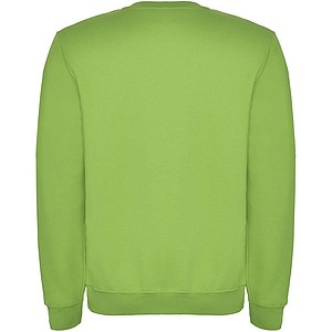 Clasica kids crewneck sweater