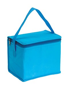 Cooler bag 