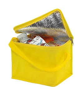 Cooler bag 
