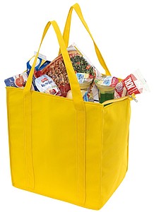 Cooler bag 