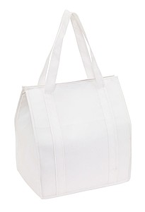 Cooler bag 