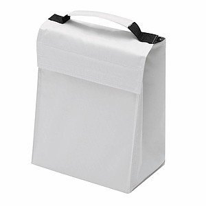 Cooler bag 