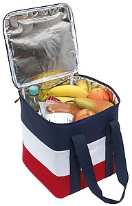 Cooler bag 