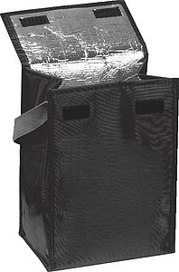 Cooler Bag