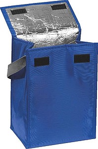 Cooler Bag