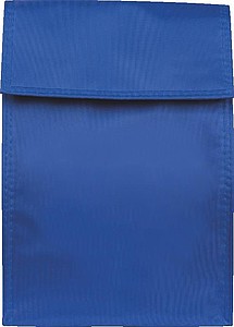 Cooler Bag