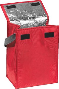 Cooler Bag