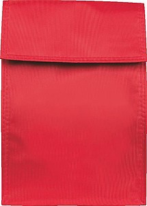 Cooler Bag