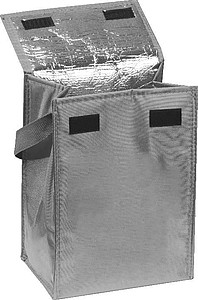 Cooler Bag