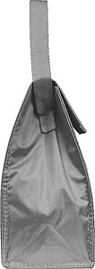 Cooler Bag