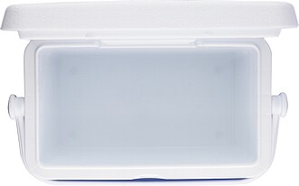 Cooler box 4 liter Sunkissed, cobalt blue