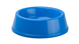 dog bowl