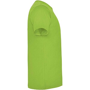 Dogo Premium short sleeve kids t-shirt, oasis green