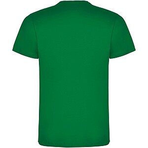 Dogo Premium short sleeve mens t-shirt, tropical green