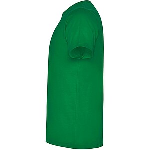 Dogo Premium short sleeve mens t-shirt, tropical green