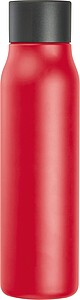 Drinking bottle with carabiner, 600ml, red