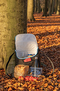 Explorer medium outdoor cooler bag