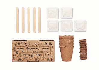 Flowers growing kit