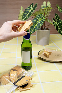 fridge magnet and opener