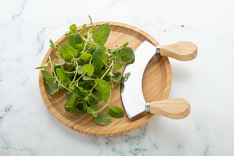 herb cutting set