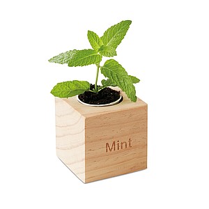 Herb pot wood