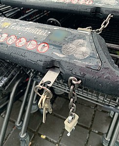 Keyring with shopping cart chip