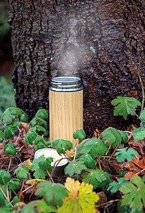 Leak proof bamboo vacuum bottle