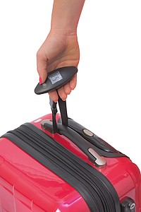 Luggage scale