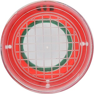 Magnify jar Sunlit, light green