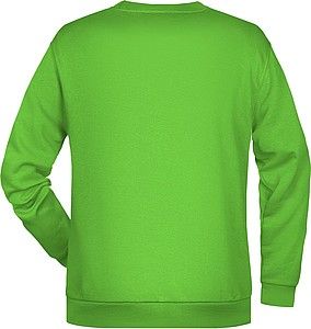 Men s sweathirt James Nicholson, lime green, 5XL