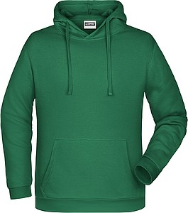 Mens sweatshirt with hoodie James Nicholson, light green, S