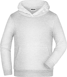 Mens sweatshirt with hoodie James Nicholson, light grey melange, S