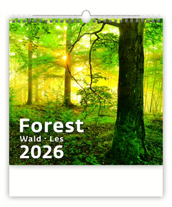 Nástěnný kalendář Forest/Wald/Les 2026