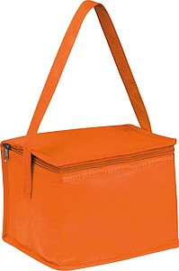 Non-woven cooling bag - 6 cans
