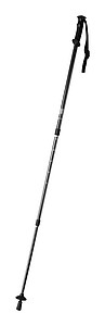 nordic walking sticks