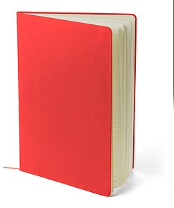 Notebook A4 Azure, red