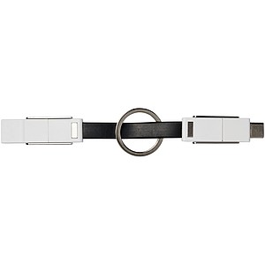 One 4-in-1 cable